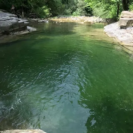 Sulle Colline Del Sangiovese
