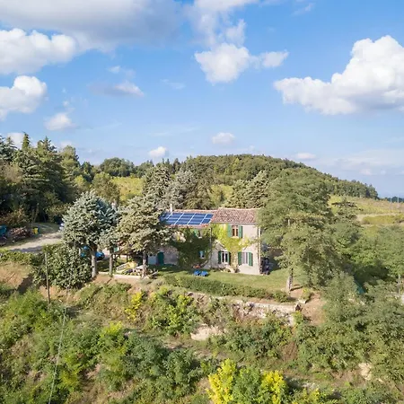 Sulle Colline Del Sangiovese