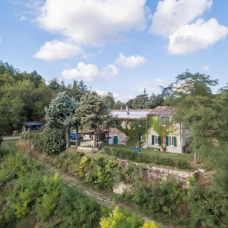 Sulle Colline Del Sangiovese