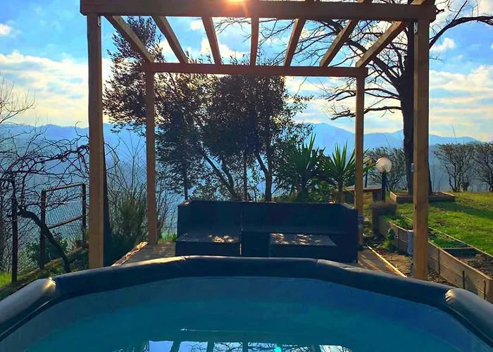 Sulle Colline Del Sangiovese