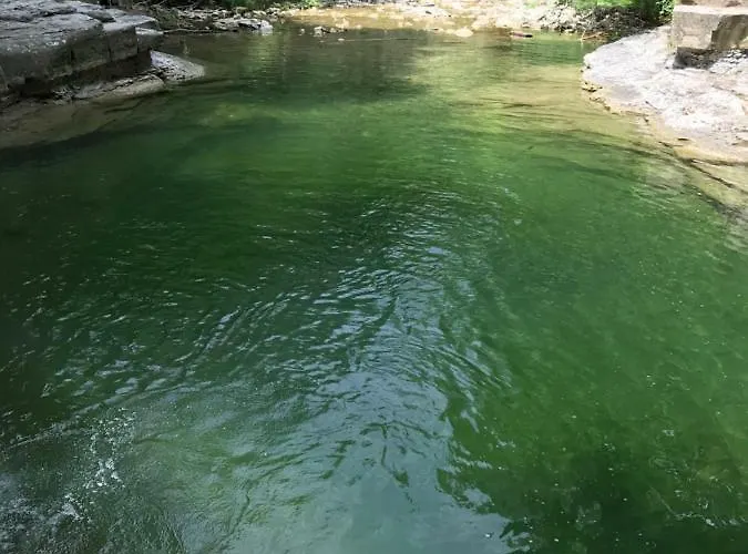 Sulle Colline Del Sangiovese