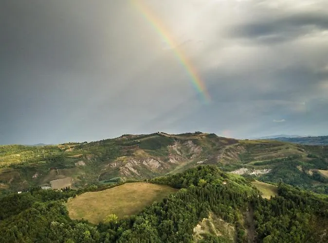 Sulle Colline Del Sangiovese