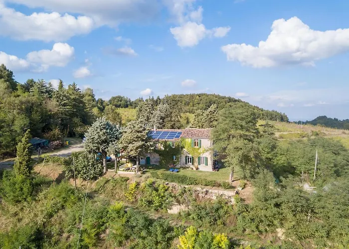 Sulle Colline Del Sangiovese