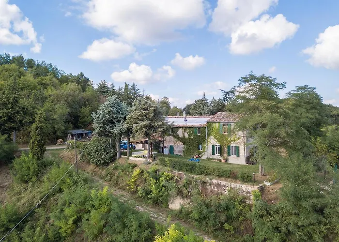 Sulle Colline Del Sangiovese