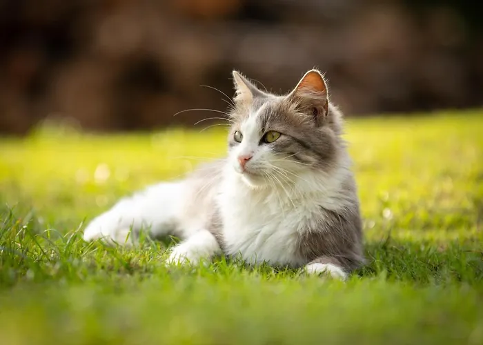 아파트 Sulle Colline Del Sangiovese 프레다피오