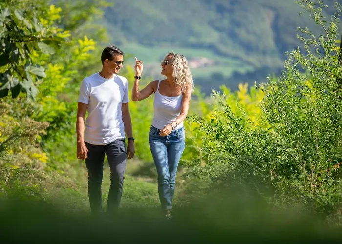 아파트 Sulle Colline Del Sangiovese